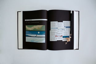 个人作品集书装印刷版 包装装潢印刷的艺术与实用指南